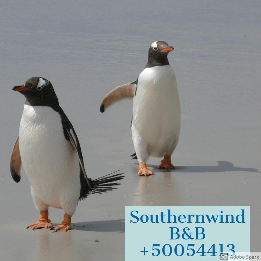 Southernwind - Spareroom Stanley Exteriér fotografie